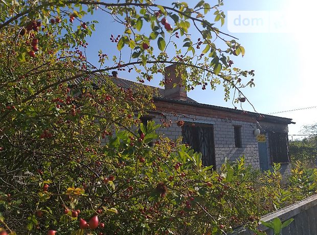 одноповерховий будинок з садом, 50 кв. м, цегла. Продаж в Царичанці, район Царичанка фото 1 одноповерховий будинок з садом, 50 кв. м, цегла. Продаж в Царичанці, район Царичанка фото 1