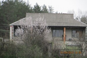 двоповерховий будинок, 124 кв. м, кирпич силикатный. Продаж в Царичанці, район Царичанка фото 2