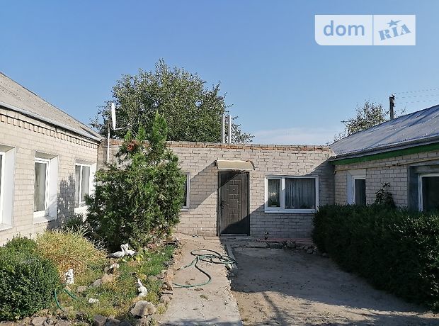 одноэтажный дом с садом, 150 кв. м, кирпич. Продажа в Царичанке район Царичанка фото 1 одноэтажный дом с садом, 150 кв. м, кирпич. Продажа в Царичанке район Царичанка фото 1