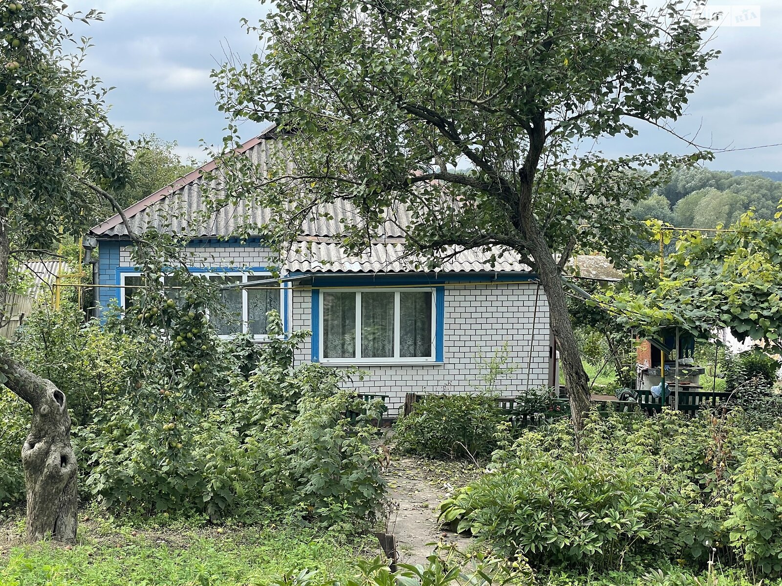 одноповерховий будинок, 66.5 кв. м, цегла. Продаж у Цибулові фото 1 одноповерховий будинок, 66.5 кв. м, цегла. Продаж у Цибулові фото 1