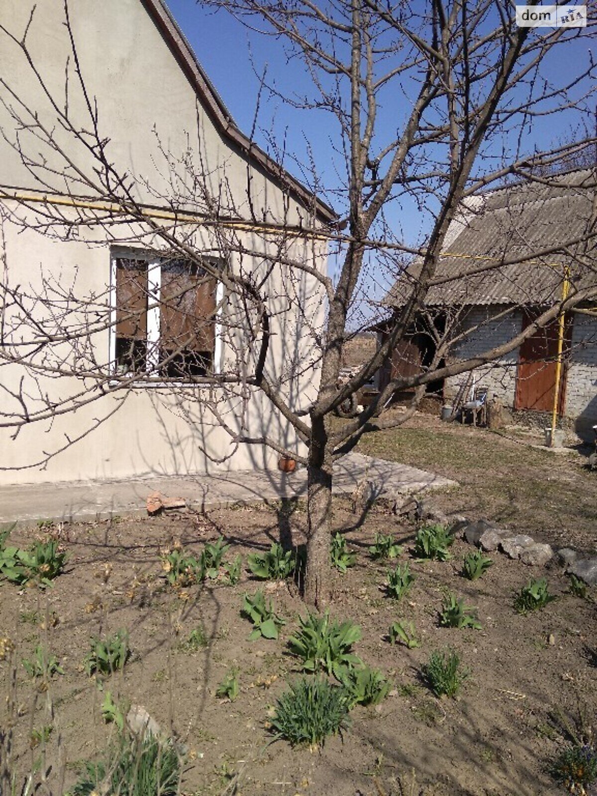 одноповерховий будинок, 120 кв. м, цегла. Продаж у Цибулові фото 1 одноповерховий будинок, 120 кв. м, цегла. Продаж у Цибулові фото 1