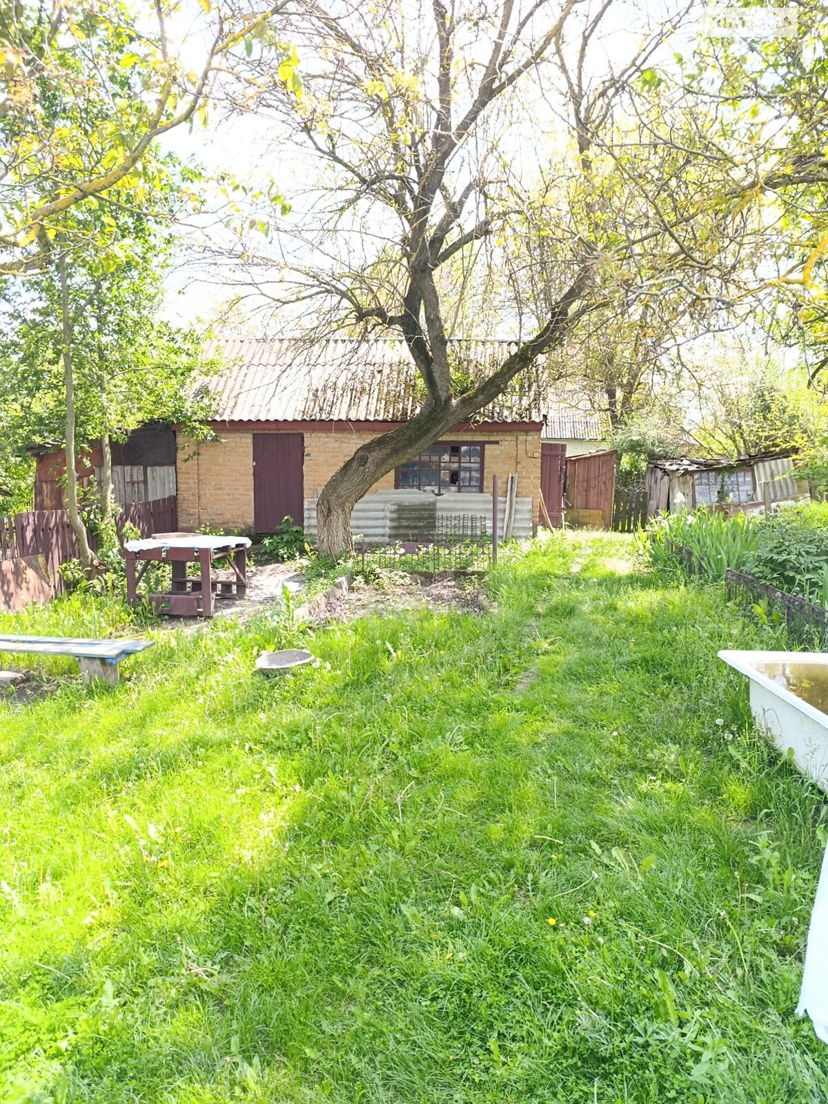 одноповерховий будинок з опаленням, 66.7 кв. м, глинобитний. Продаж у Цвіжині фото 1 одноповерховий будинок з опаленням, 66.7 кв. м, глинобитний. Продаж у Цвіжині фото 1