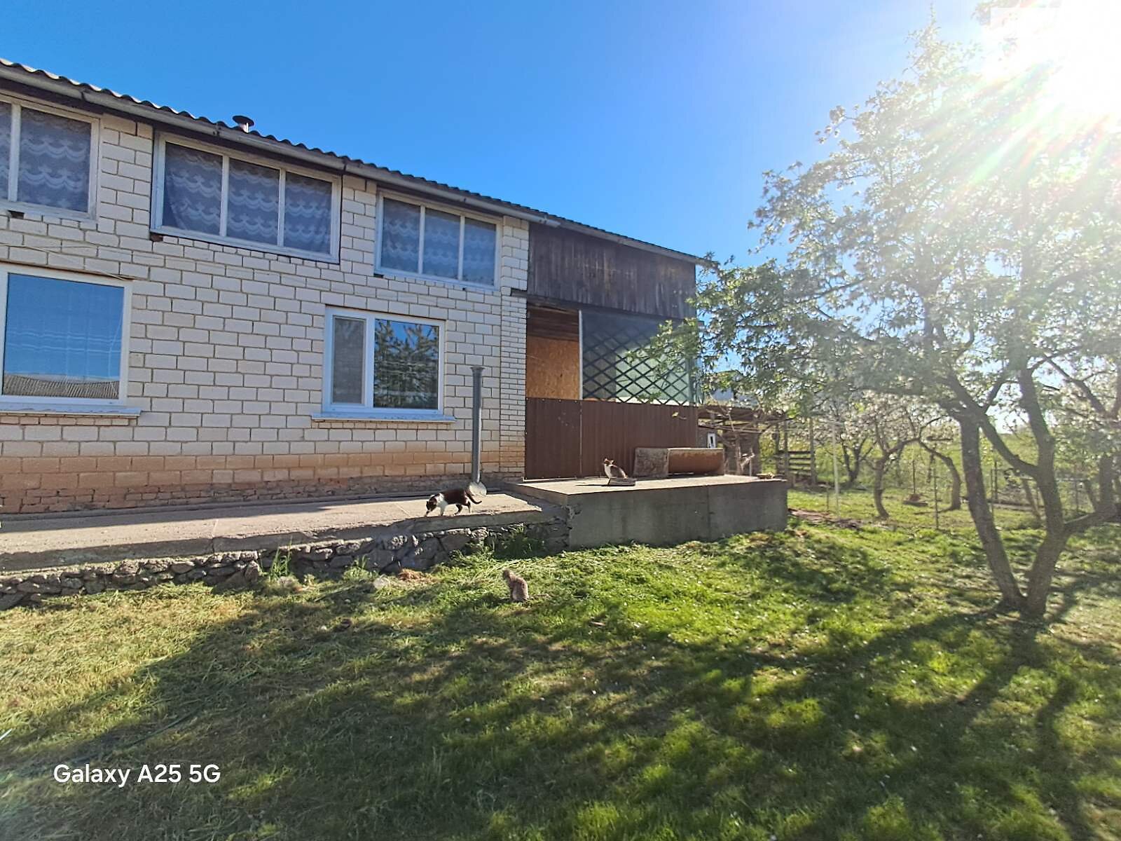 одноэтажный дом с отоплением, 188 кв. м, кирпич. Продажа в Тульчине район Тульчин фото 1 одноэтажный дом с отоплением, 188 кв. м, кирпич. Продажа в Тульчине район Тульчин фото 1