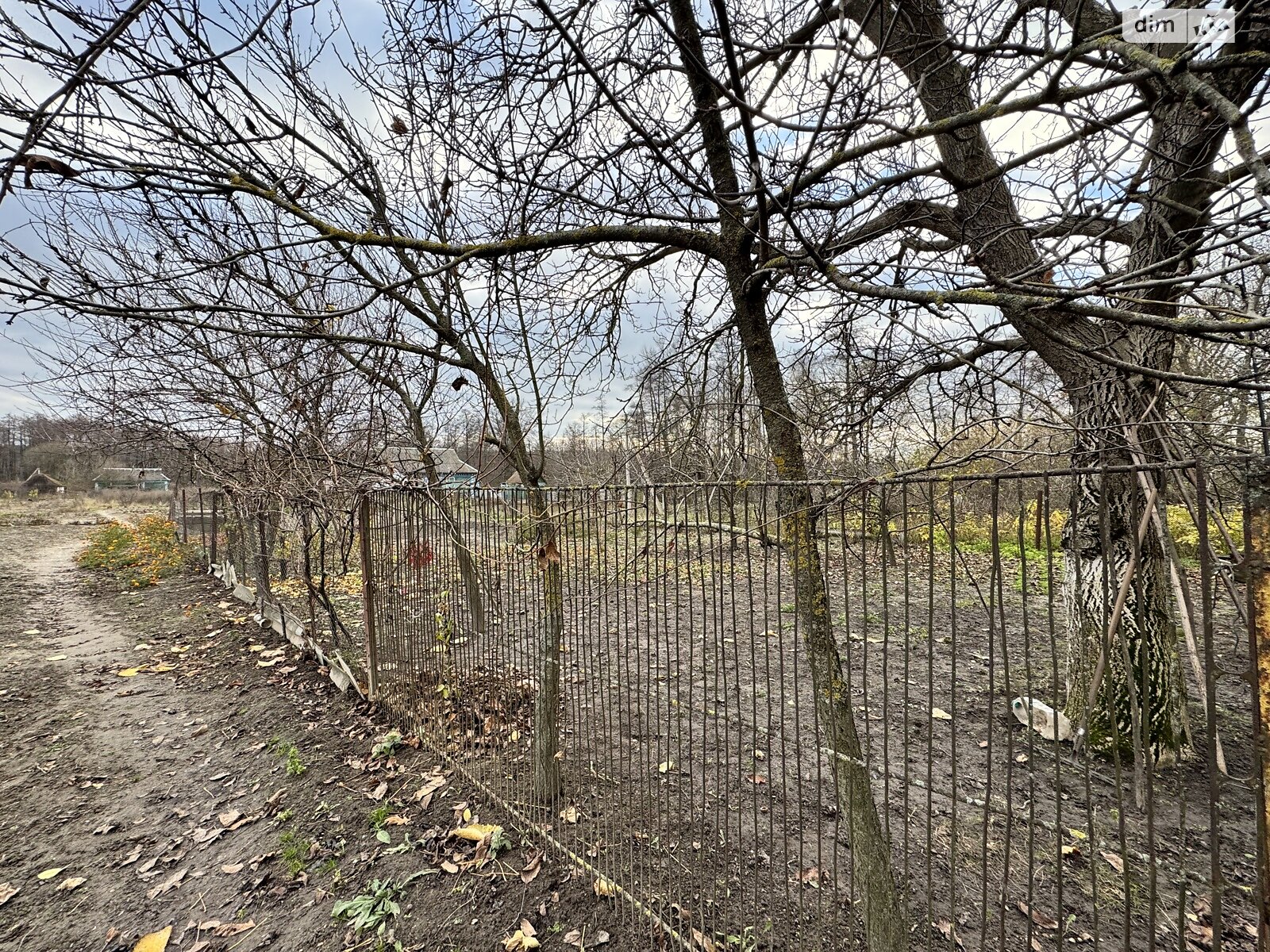 одноэтажный дом с верандой, 58 кв. м, кирпич. Продажа в Турбовом фото 1 одноэтажный дом с верандой, 58 кв. м, кирпич. Продажа в Турбовом фото 1