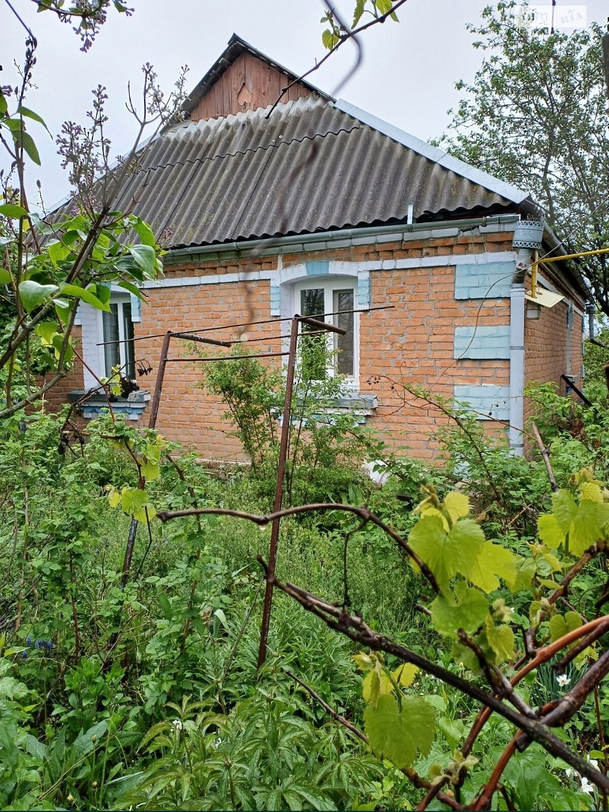 одноповерховий будинок з опаленням, 50.9 кв. м, цегла. Продаж у Турбовом фото 1 одноповерховий будинок з опаленням, 50.9 кв. м, цегла. Продаж у Турбовом фото 1