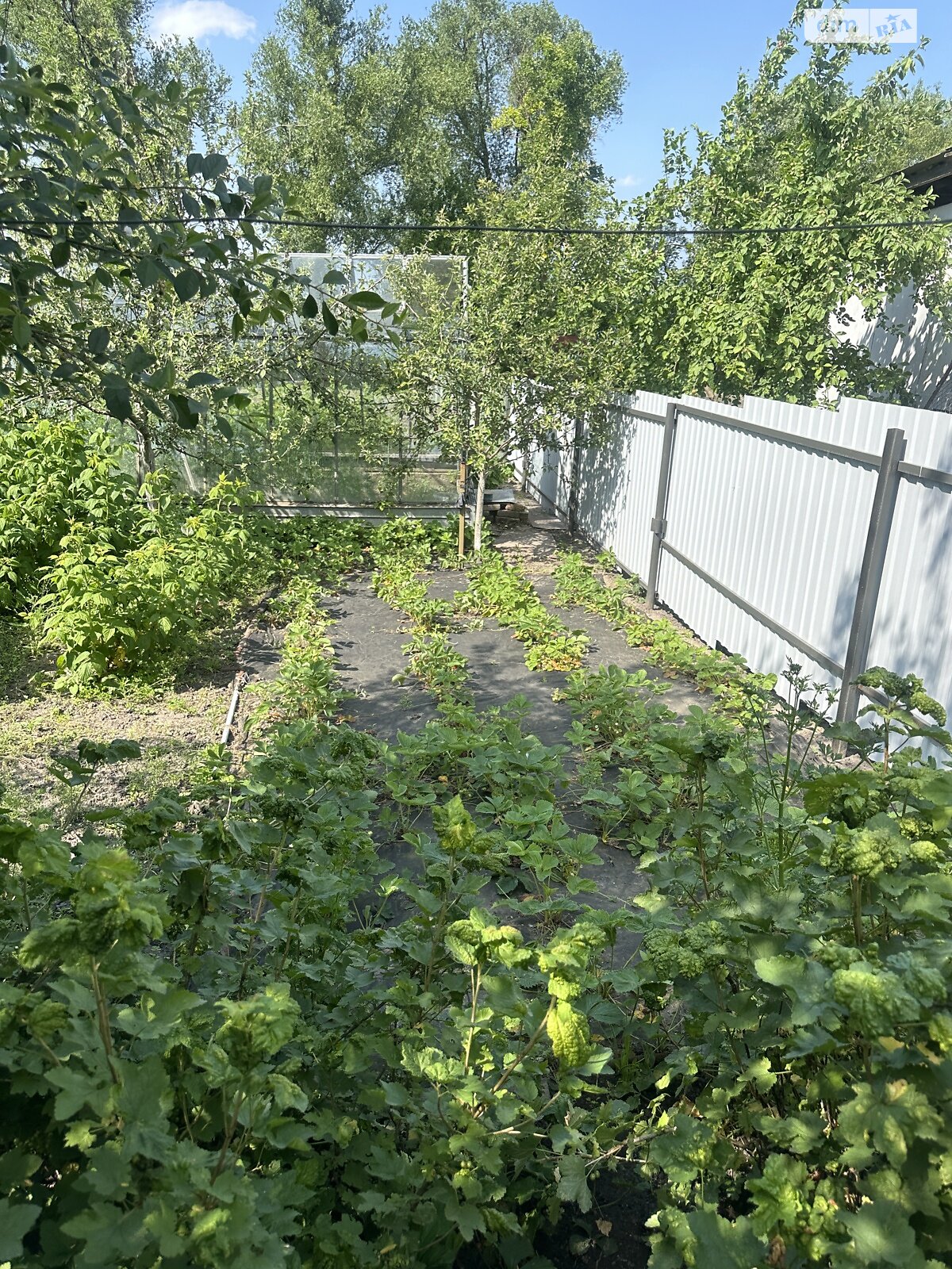 одноповерховий будинок, 51 кв. м, цегла. Продаж у Турбовом фото 1 одноповерховий будинок, 51 кв. м, цегла. Продаж у Турбовом фото 1