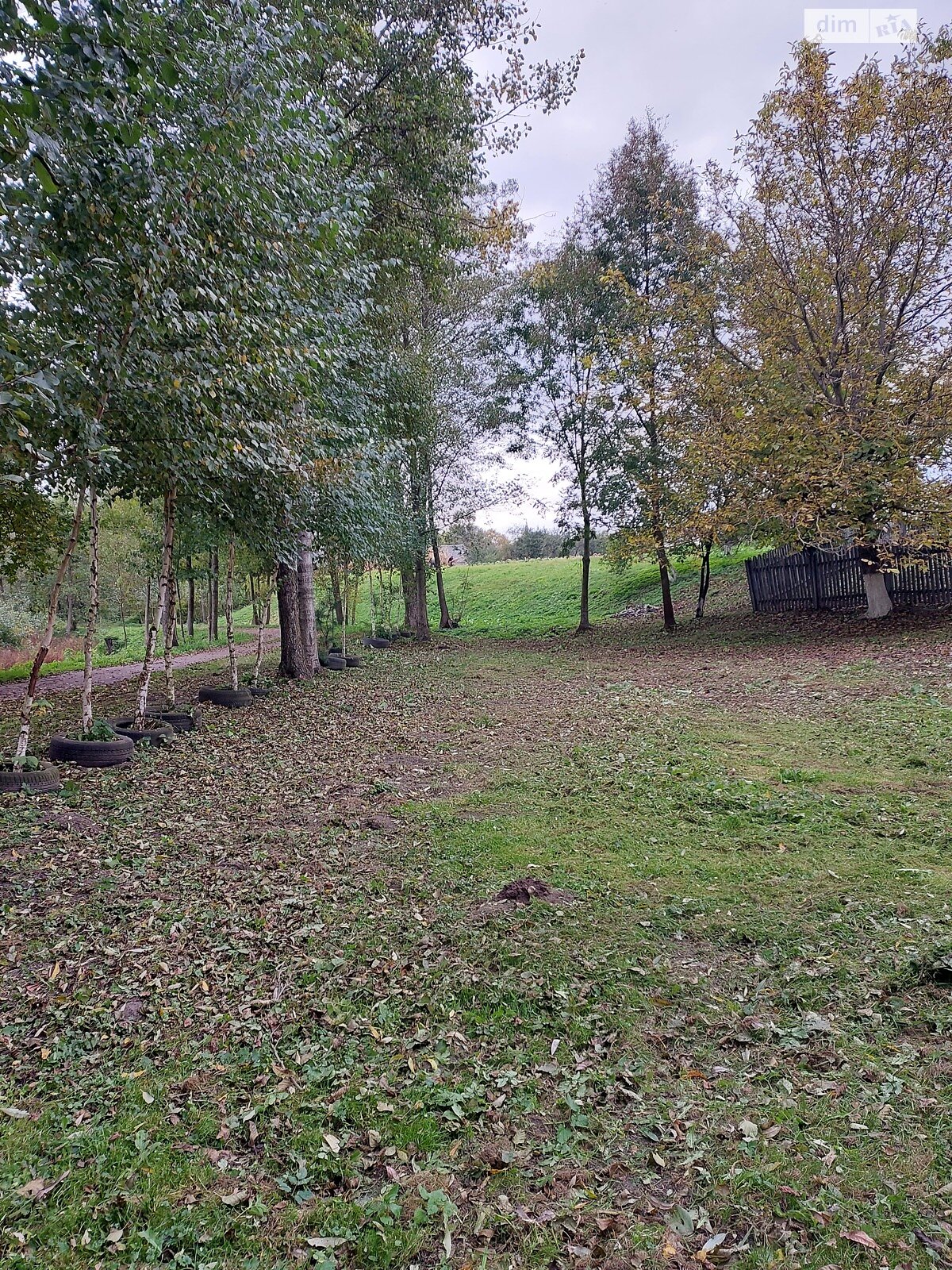 одноповерховий будинок, 75 кв. м, дерево та цегла. Продаж у Туринці фото 1