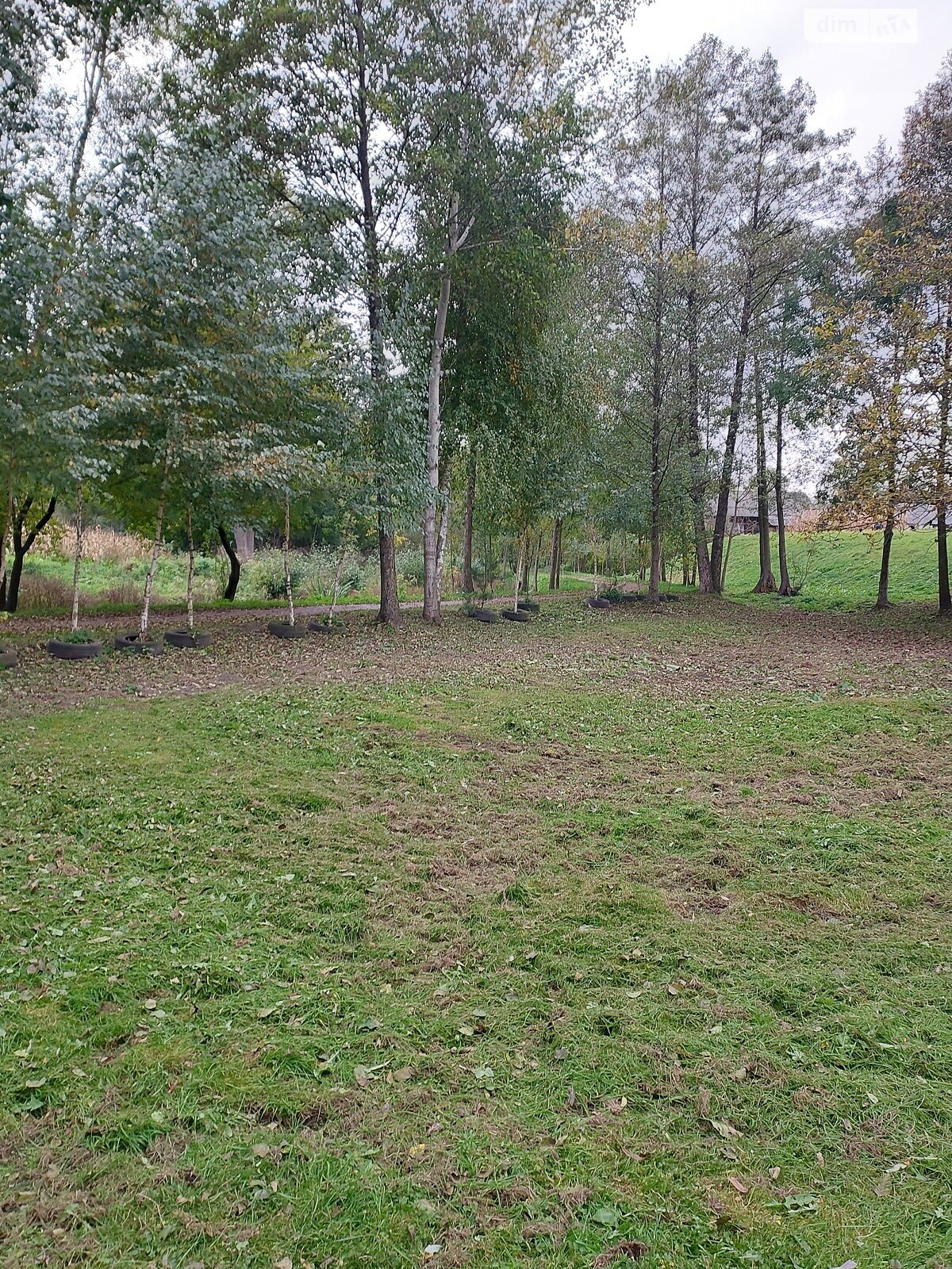 одноповерховий будинок, 75 кв. м, дерево та цегла. Продаж у Туринці фото 1