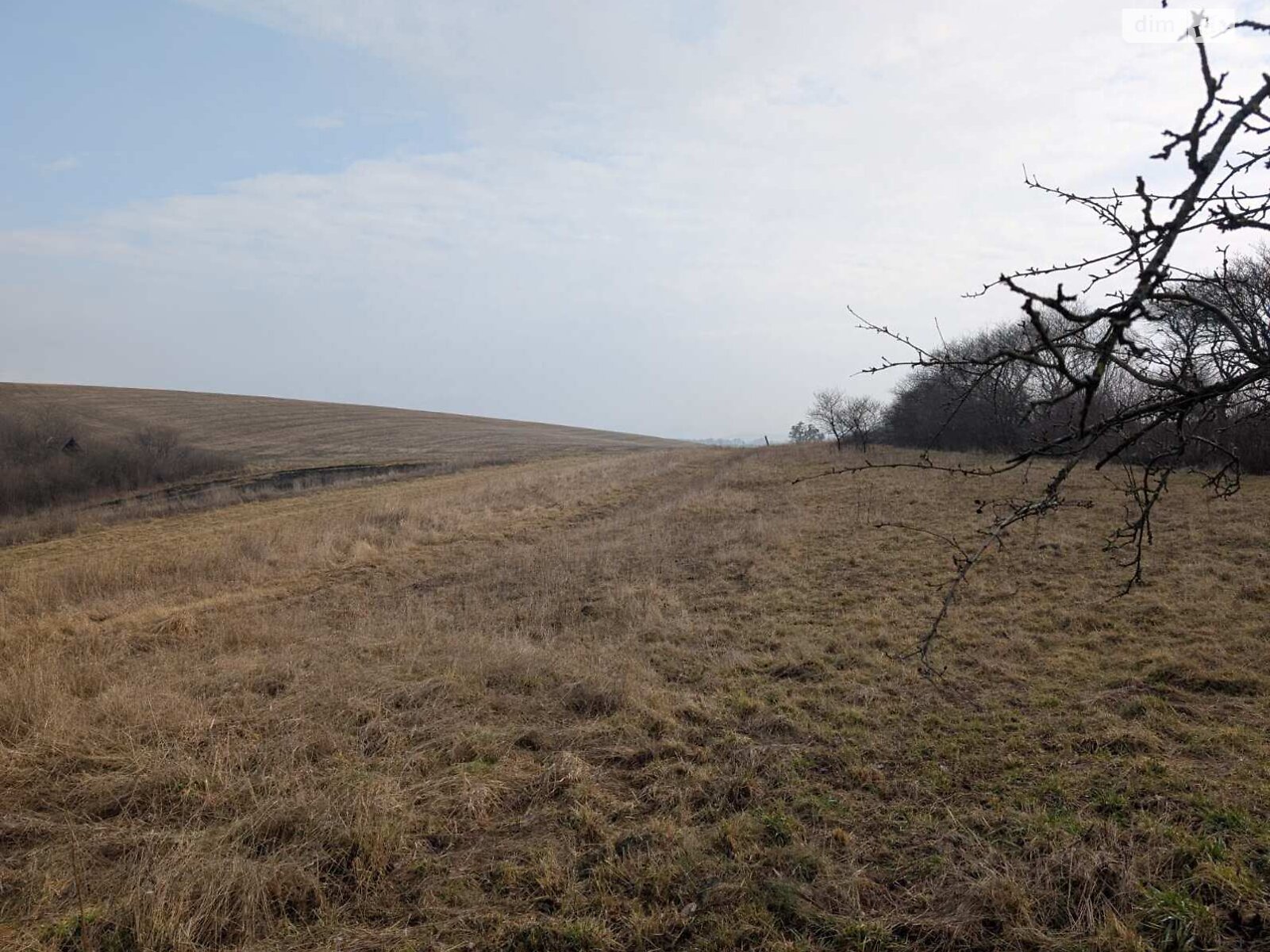 одноповерховий будинок, 91.7 кв. м, кирпич. Продаж у Туркотині фото 1