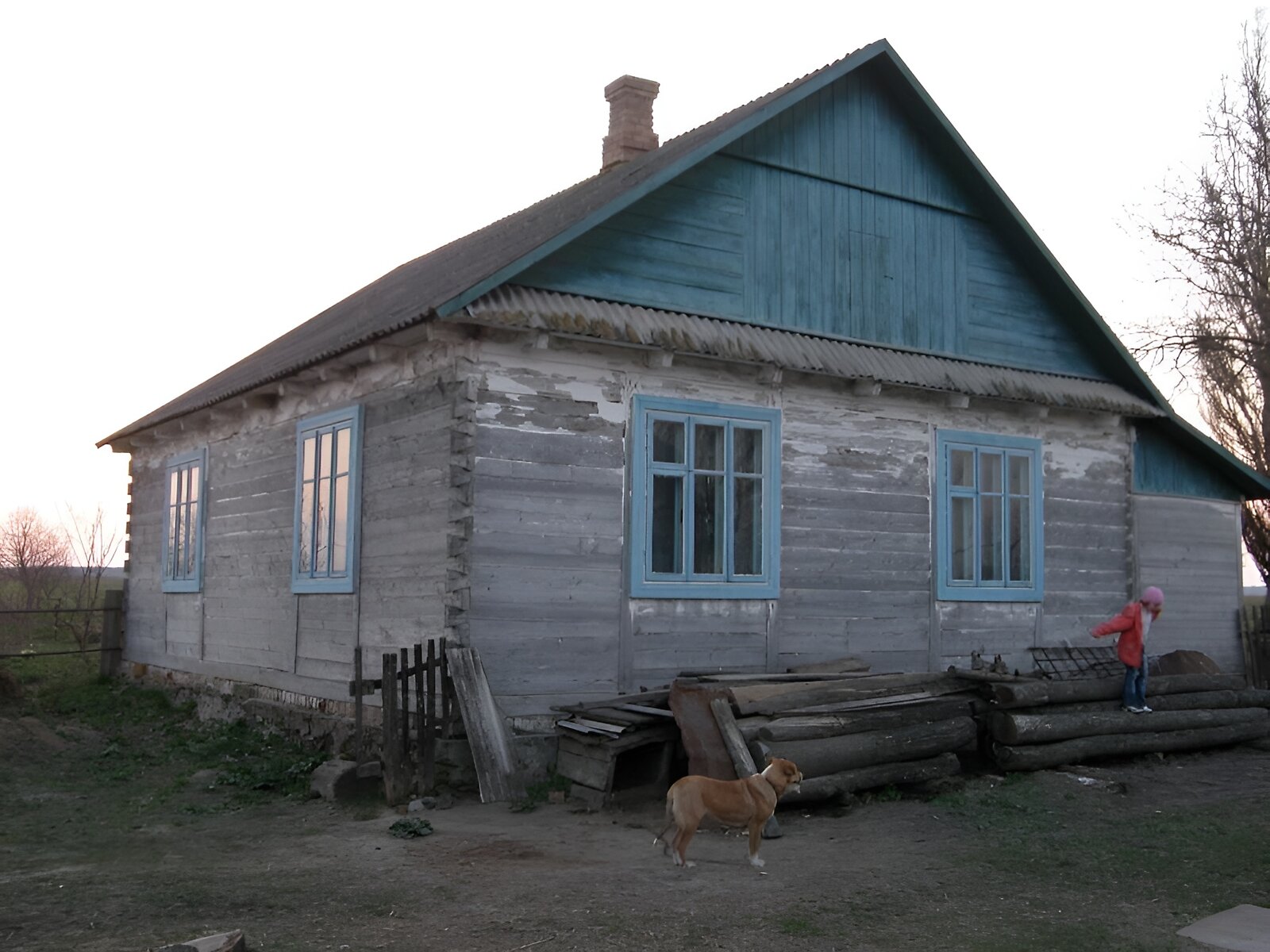 одноповерховий будинок з гаражем, 100 кв. м, зруб. Продаж у Турівці фото 1 одноповерховий будинок з гаражем, 100 кв. м, зруб. Продаж у Турівці фото 1