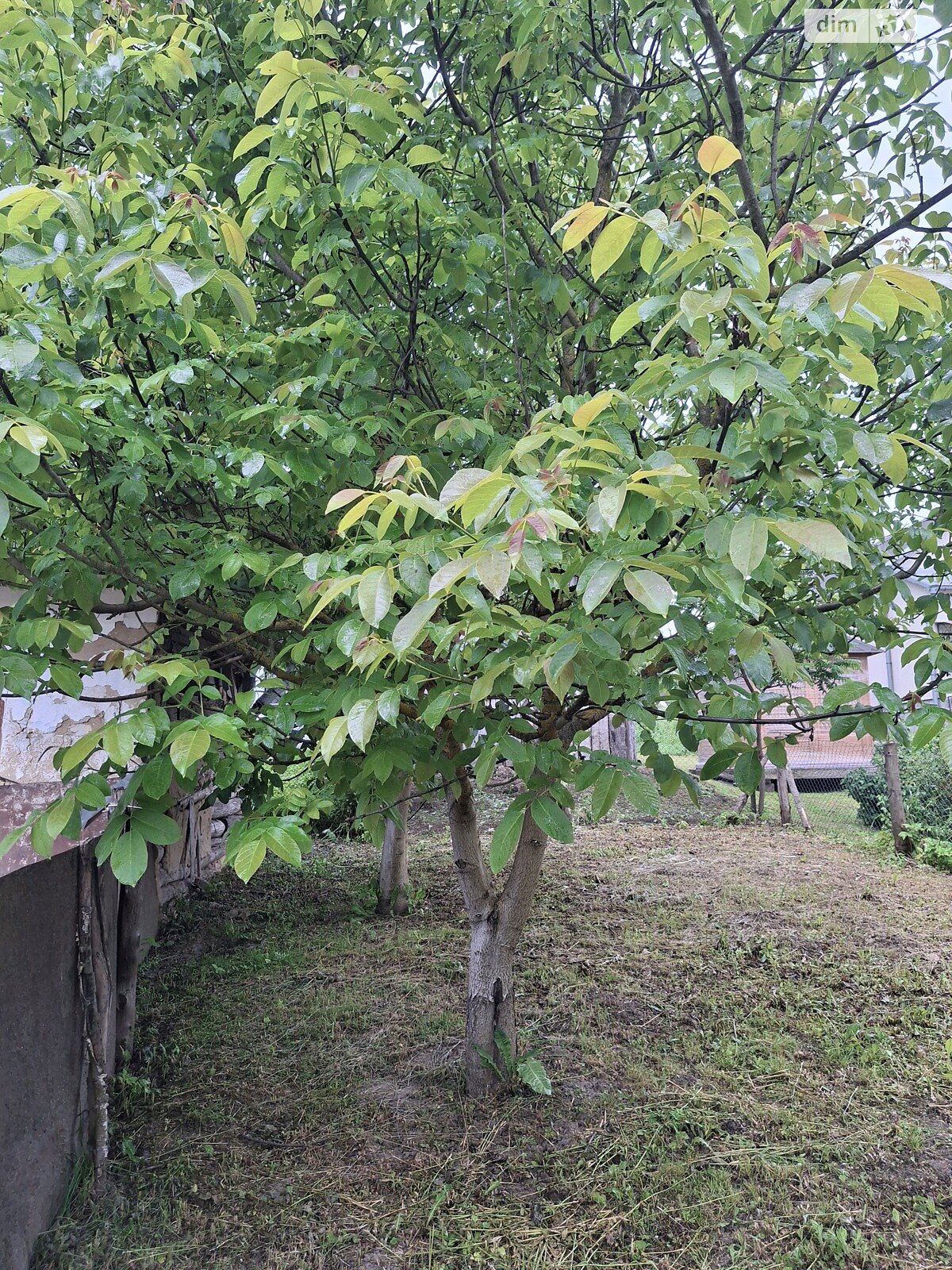 двухэтажный дом, 99.5 кв. м, кирпич. Продажа в Тустоголовах фото 1 двухэтажный дом, 99.5 кв. м, кирпич. Продажа в Тустоголовах фото 1