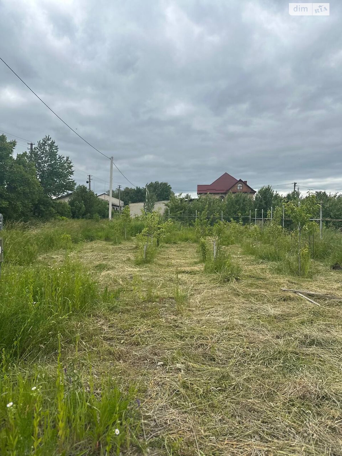 пятнадцатиэтажный дом с балконом, 280 кв. м, кирпич. Продажа в Тысменице фото 1 пятнадцатиэтажный дом с балконом, 280 кв. м, кирпич. Продажа в Тысменице фото 1