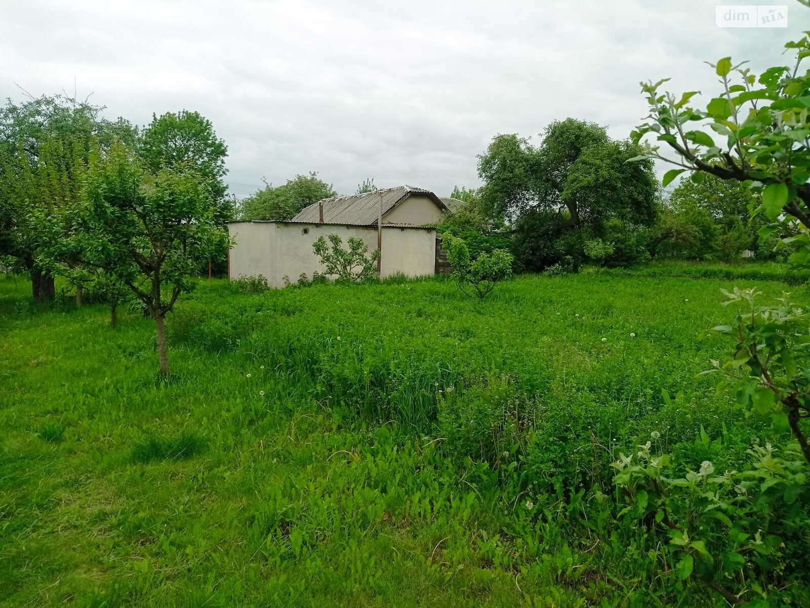 одноповерховий будинок з верандою, 64.8 кв. м, цегла. Продаж у Тютькові фото 1 одноповерховий будинок з верандою, 64.8 кв. м, цегла. Продаж у Тютькові фото 1