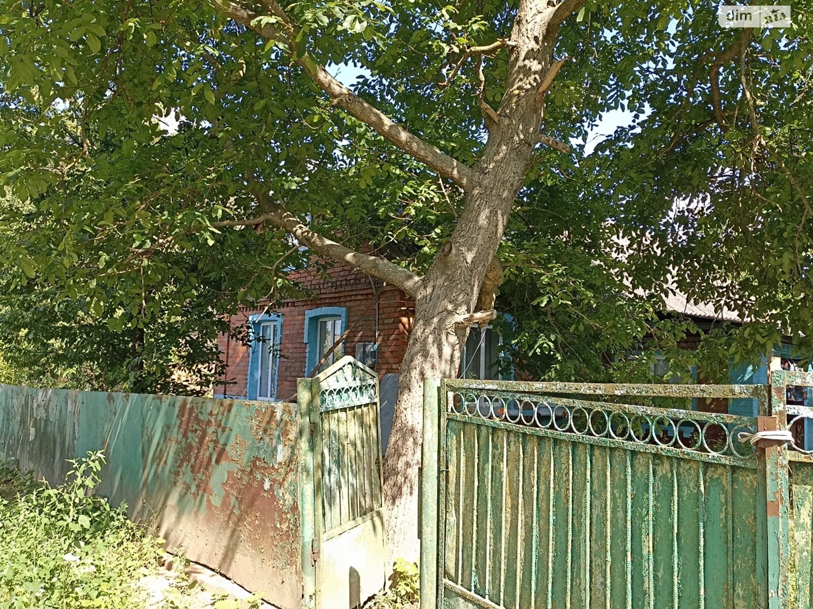 одноэтажный дом беседка, 50 кв. м, кирпич. Продажа в Тютюнниках фото 1 одноэтажный дом беседка, 50 кв. м, кирпич. Продажа в Тютюнниках фото 1