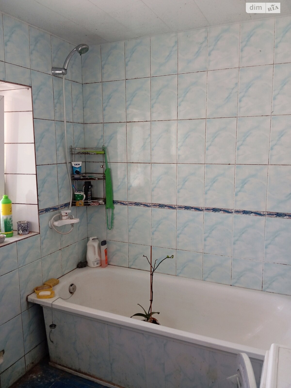 одноповерховий будинок, 70 кв. м, цегла. Продаж у Тиврові фото 1 одноповерховий будинок, 70 кв. м, цегла. Продаж у Тиврові фото 1