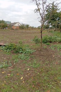 одноэтажный дом с отоплением, 60.5 кв. м, кирпич. Продажа в Тыврове фото 2