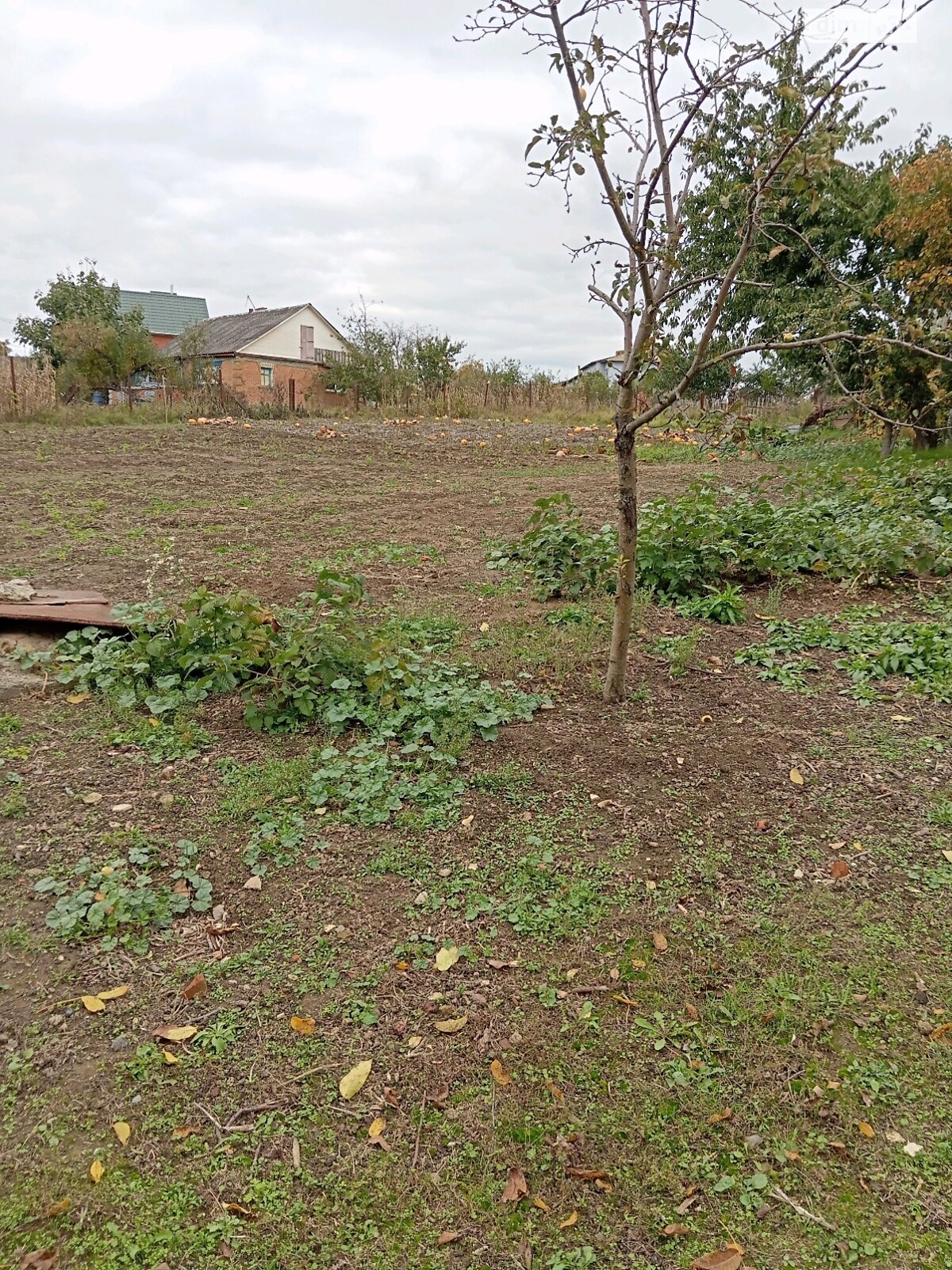 одноэтажный дом с отоплением, 60.5 кв. м, кирпич. Продажа в Тыврове фото 1