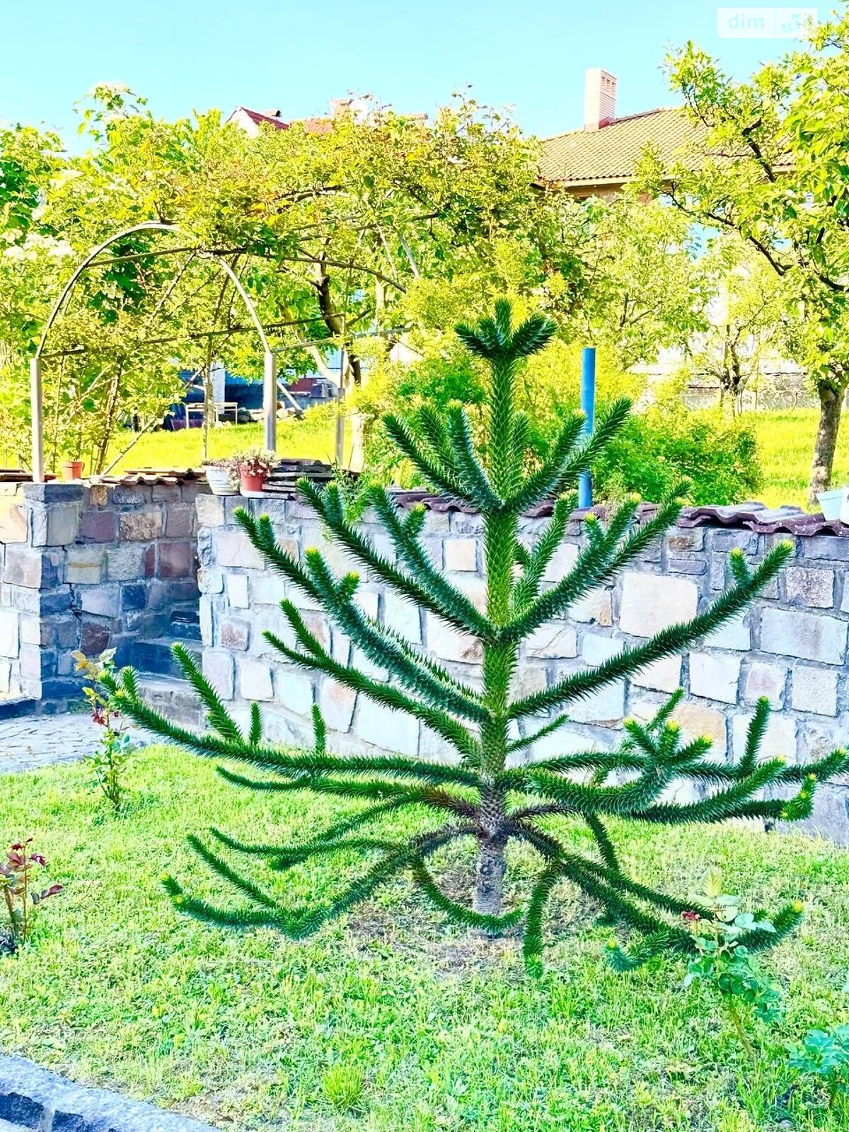 двоповерховий будинок, 305.6 кв. м, цегла. Продаж в Ужгороді, район Червениця фото 1