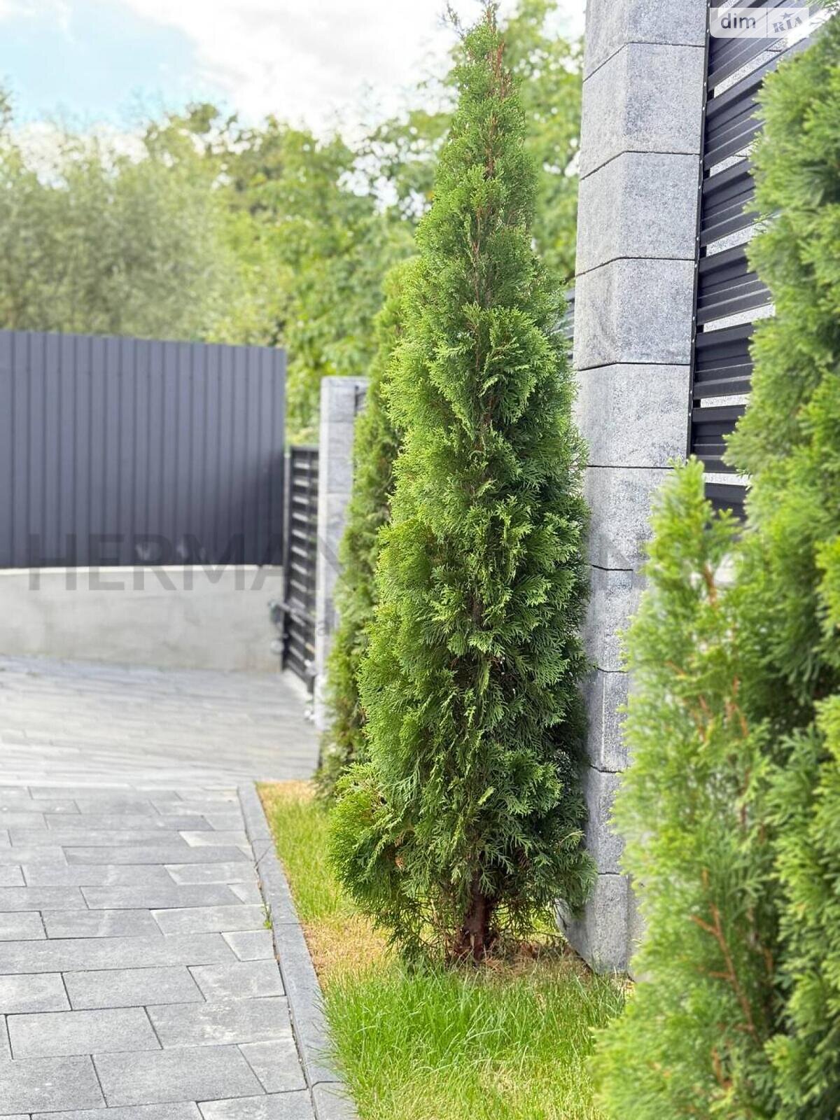 одноповерховий будинок з опаленням, 135 кв. м, цегла. Продаж в Ужгороді, район Червениця фото 1 одноповерховий будинок з опаленням, 135 кв. м, цегла. Продаж в Ужгороді, район Червениця фото 1