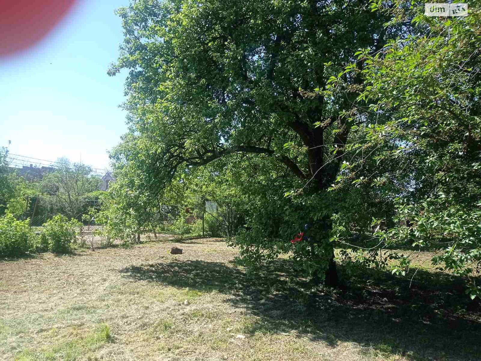 одноповерховий будинок, 48.9 кв. м, цегла. Продаж у Ужгороді фото 1 одноповерховий будинок, 48.9 кв. м, цегла. Продаж у Ужгороді фото 1