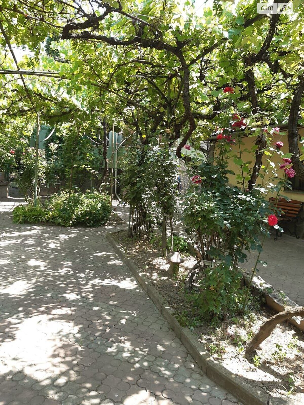 одноповерховий будинок, 146 кв. м, цегла. Продаж у Ужгороді фото 1 одноповерховий будинок, 146 кв. м, цегла. Продаж у Ужгороді фото 1