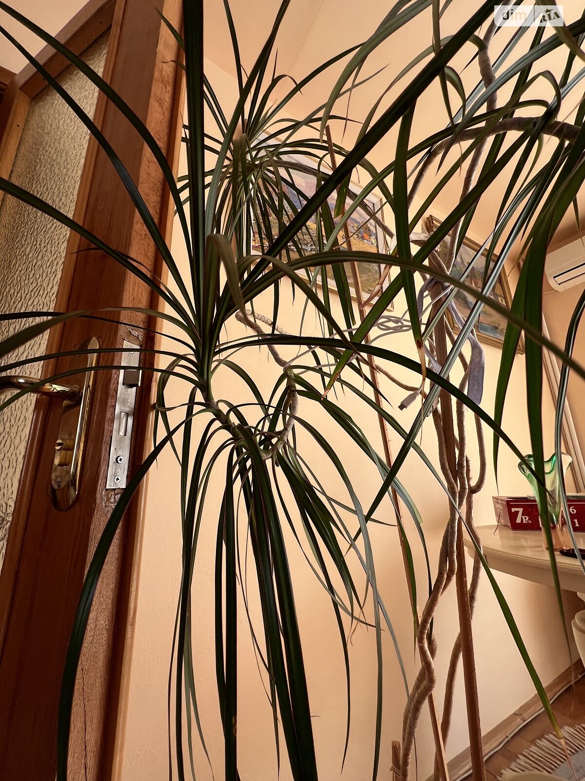 триповерховий будинок з мансардою, 276.9 кв. м, цегла. Продаж в Ужгороді, район Кальварія фото 1 триповерховий будинок з мансардою, 276.9 кв. м, цегла. Продаж в Ужгороді, район Кальварія фото 1