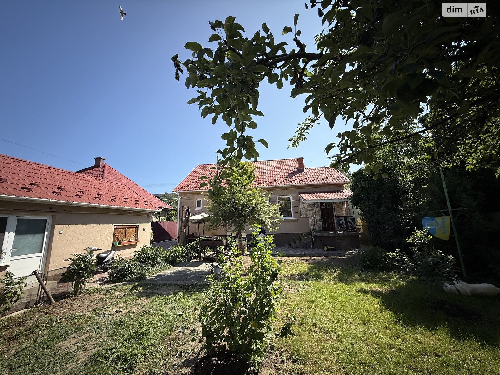 одноповерховий будинок, 83.2 кв. м, цегла. Продаж в Ужгороді, район Новий фото 1 одноповерховий будинок, 83.2 кв. м, цегла. Продаж в Ужгороді, район Новий фото 1