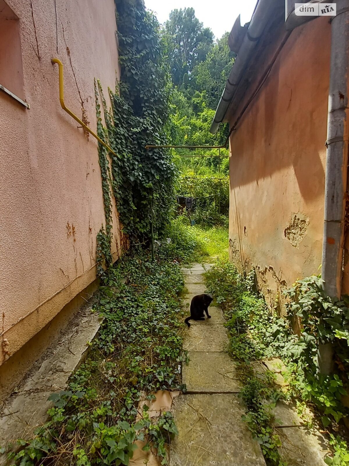 одноповерховий будинок, 71 кв. м, цегла. Продаж у Ужгороді фото 1 одноповерховий будинок, 71 кв. м, цегла. Продаж у Ужгороді фото 1
