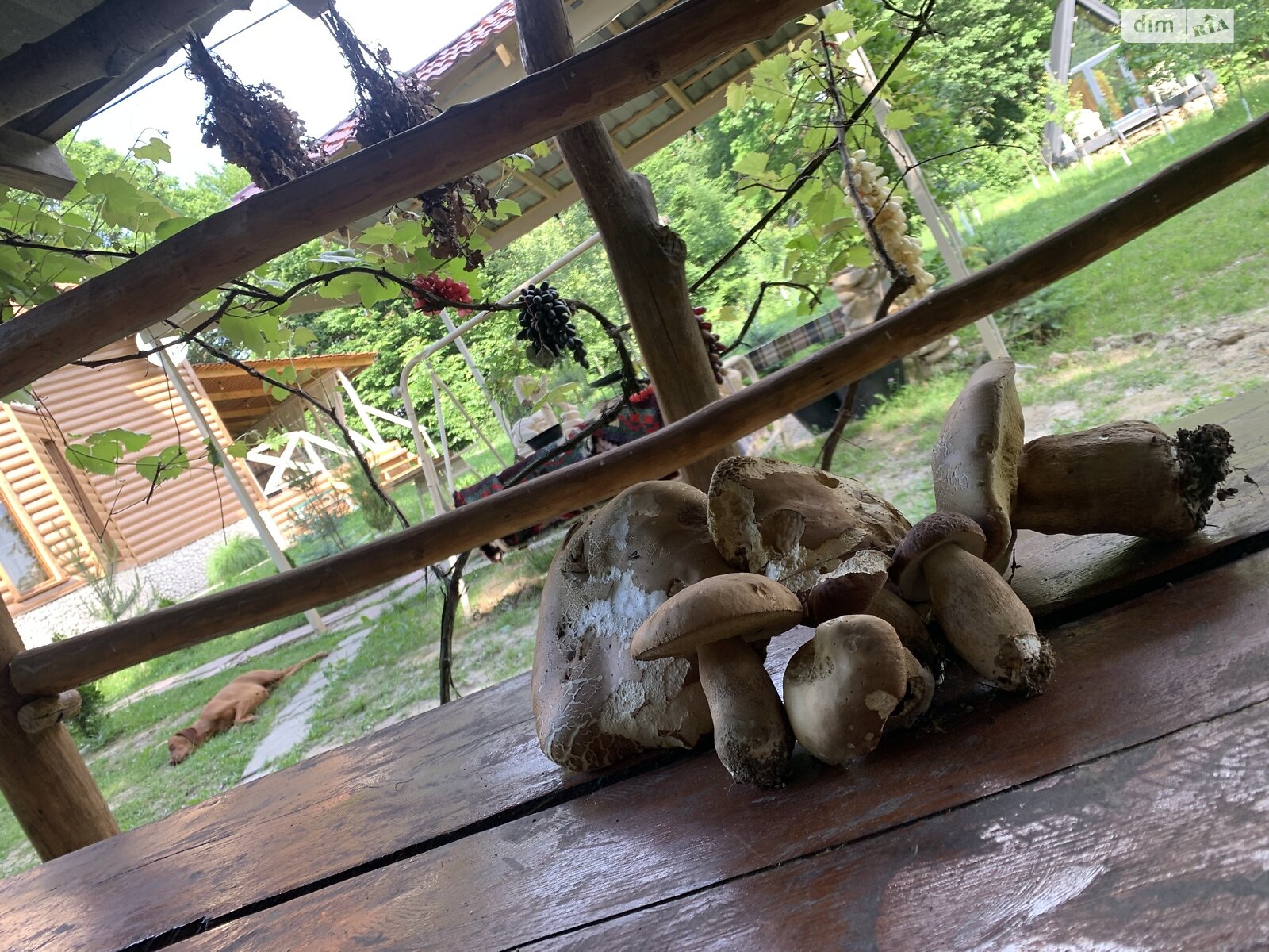 двоповерховий будинок бесідка, 75 кв. м, дерево та цегла. Продаж у Ужгороді фото 1