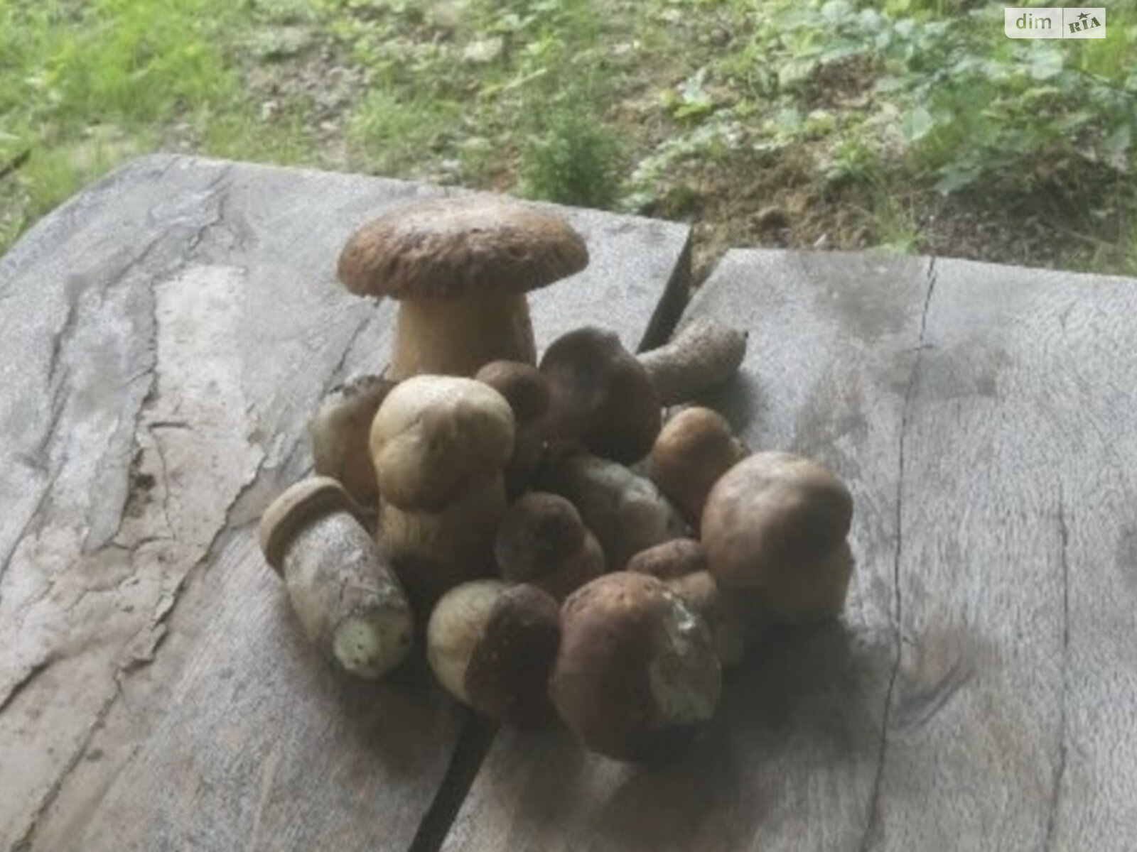 двоповерховий будинок бесідка, 75 кв. м, дерево та цегла. Продаж у Ужгороді фото 1