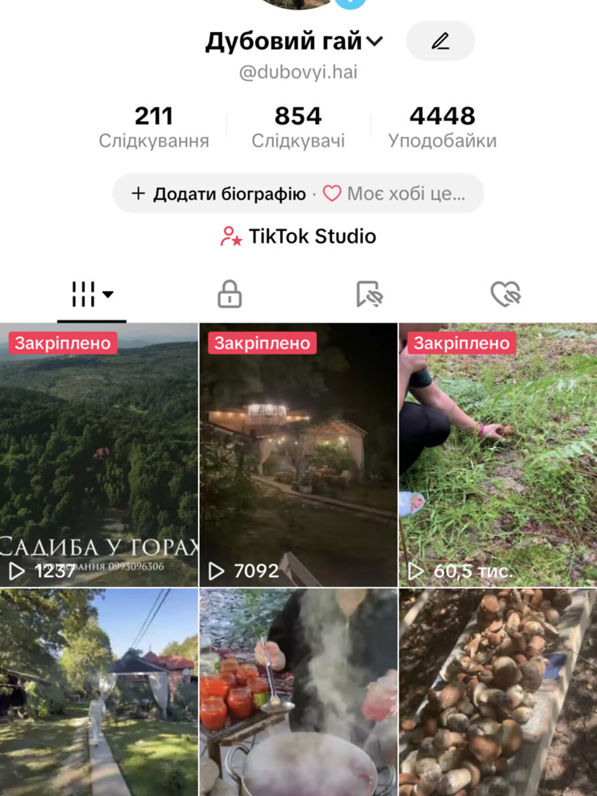 двоповерховий будинок бесідка, 75 кв. м, дерево та цегла. Продаж у Ужгороді фото 1