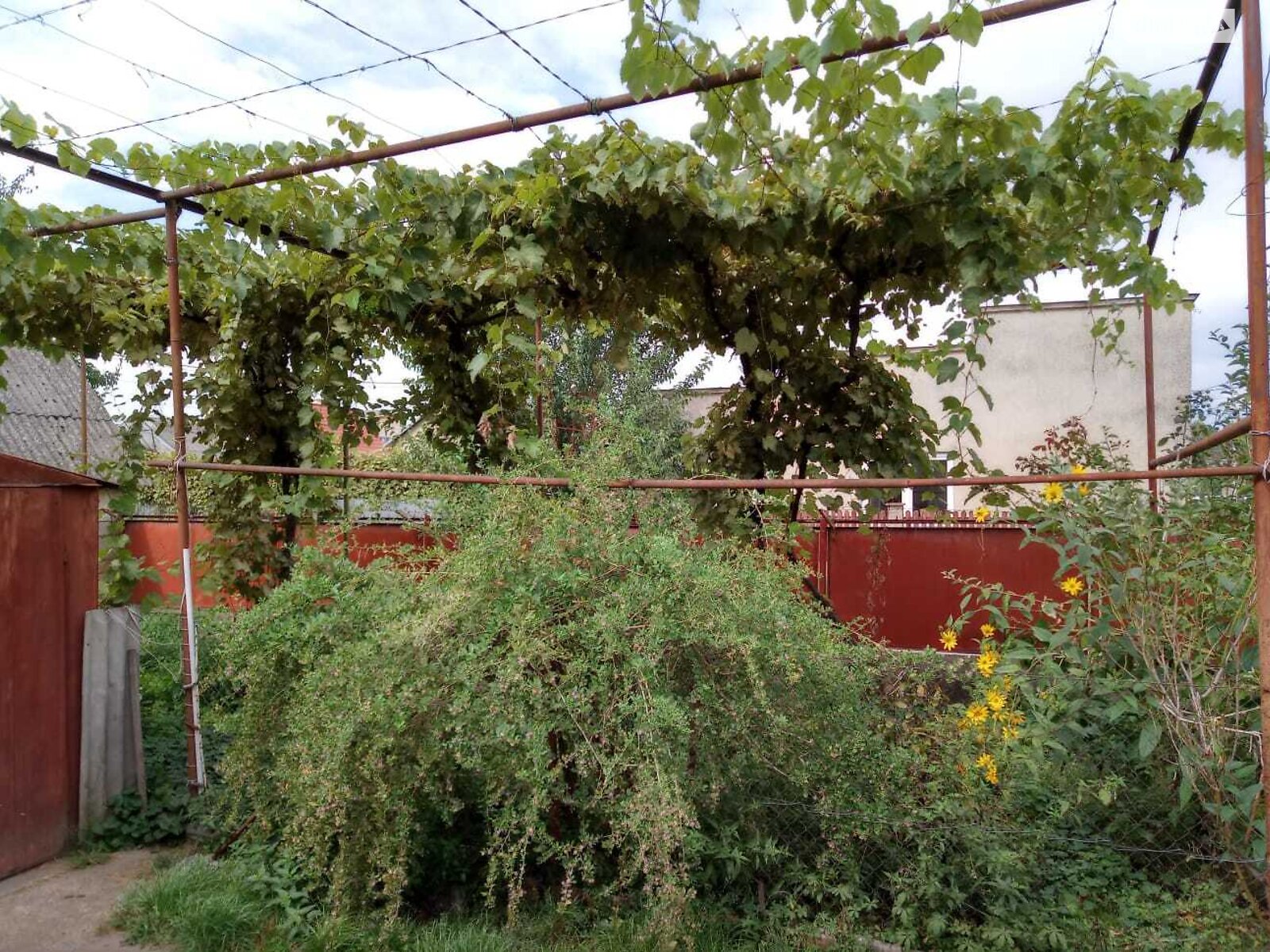 одноповерховий будинок з гаражем, 111 кв. м, кирпич. Продаж в Ужгороді, район Радванка фото 1