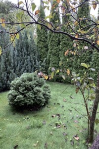 одноэтажный дом беседка, 100 кв. м, кирпич. Продажа в Ужгороде район Радванка фото 2