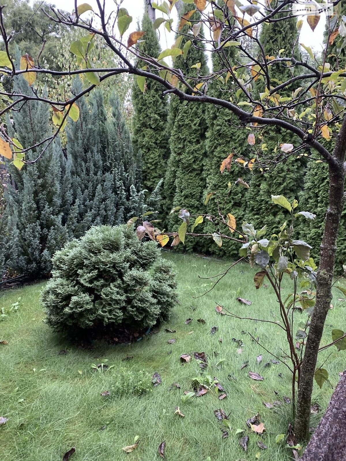 одноэтажный дом беседка, 100 кв. м, кирпич. Продажа в Ужгороде район Радванка фото 1 одноэтажный дом беседка, 100 кв. м, кирпич. Продажа в Ужгороде район Радванка фото 1