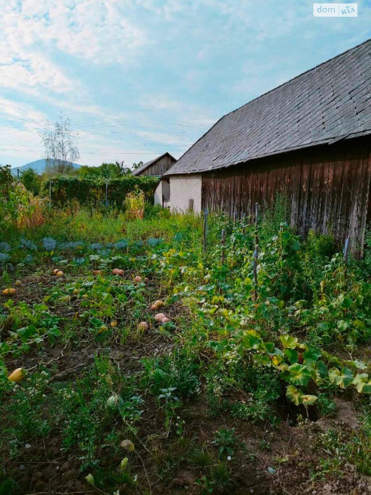 одноэтажный дом с гаражом, 80 кв. м, кирпич саманный. Продажа в Русских Комаровцах фото 1