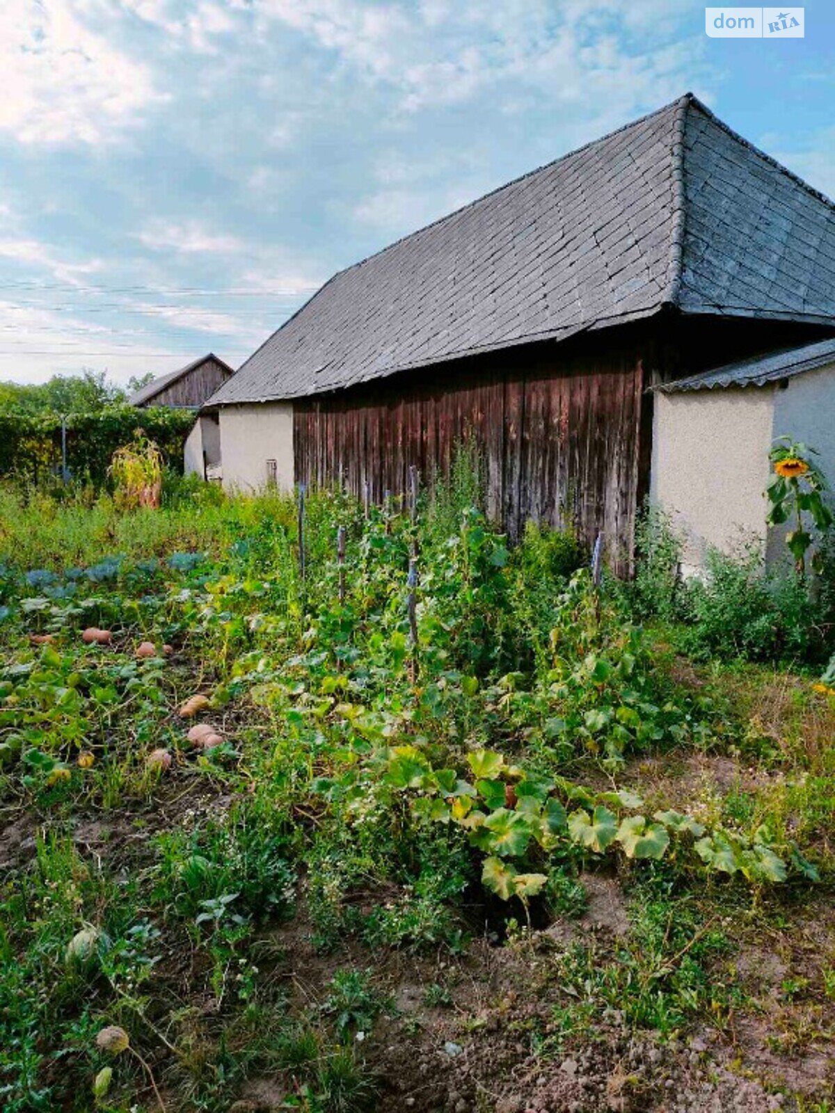 одноэтажный дом с гаражом, 80 кв. м, кирпич саманный. Продажа в Русских Комаровцах фото 1