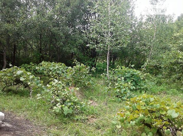 двухэтажный дом, 150 кв. м, кирпич. Продажа в Ужгороде район Шахта фото 1 двухэтажный дом, 150 кв. м, кирпич. Продажа в Ужгороде район Шахта фото 1
