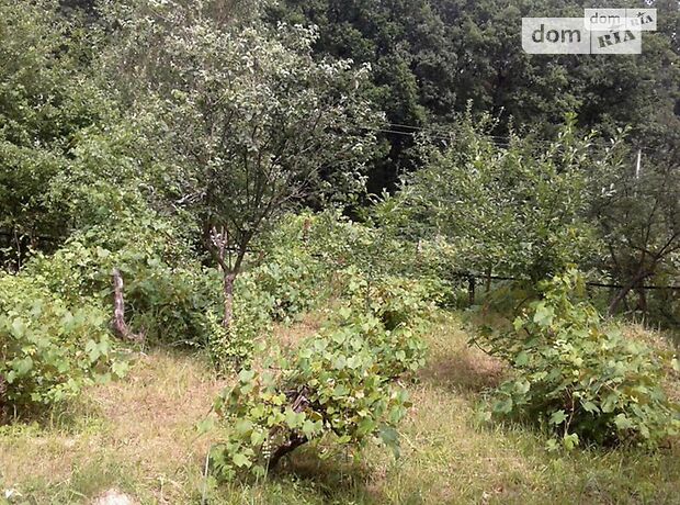 двухэтажный дом, 150 кв. м, кирпич. Продажа в Ужгороде район Шахта фото 1 двухэтажный дом, 150 кв. м, кирпич. Продажа в Ужгороде район Шахта фото 1