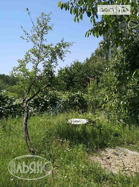 одноэтажный дом с садом, 50 кв. м, кирпич. Продажа в Ужгороде район Шахта фото 1 одноэтажный дом с садом, 50 кв. м, кирпич. Продажа в Ужгороде район Шахта фото 1