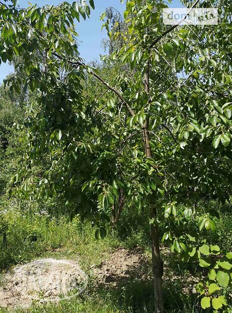 одноэтажный дом с садом, 50 кв. м, кирпич. Продажа в Ужгороде район Шахта фото 1 одноэтажный дом с садом, 50 кв. м, кирпич. Продажа в Ужгороде район Шахта фото 1