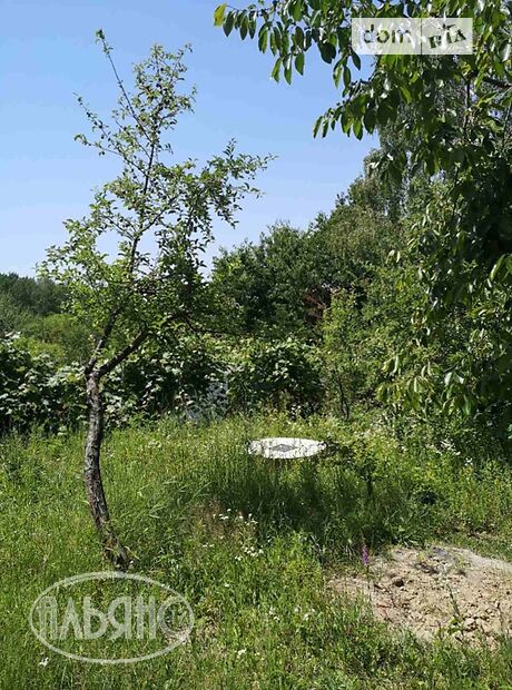 одноэтажный дом с садом, 50 кв. м, кирпич. Продажа в Ужгороде район Шахта фото 1 одноэтажный дом с садом, 50 кв. м, кирпич. Продажа в Ужгороде район Шахта фото 1