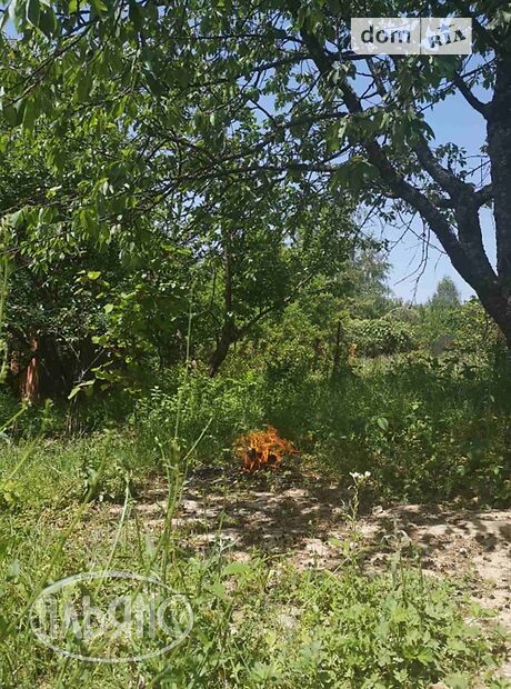 одноэтажный дом с садом, 50 кв. м, кирпич. Продажа в Ужгороде район Шахта фото 1 одноэтажный дом с садом, 50 кв. м, кирпич. Продажа в Ужгороде район Шахта фото 1