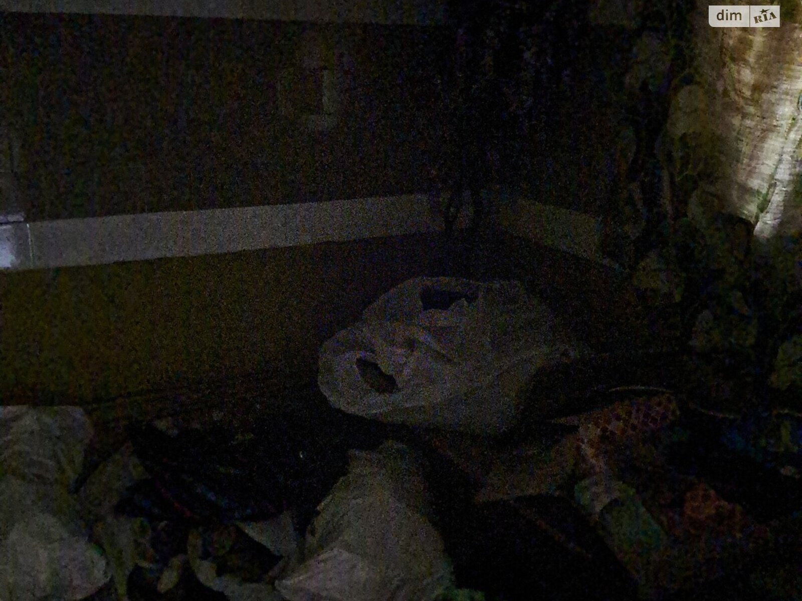 одноповерховий будинок, 121.3 кв. м, цегла. Продаж в Ужгороді, район Шахта фото 1 одноповерховий будинок, 121.3 кв. м, цегла. Продаж в Ужгороді, район Шахта фото 1