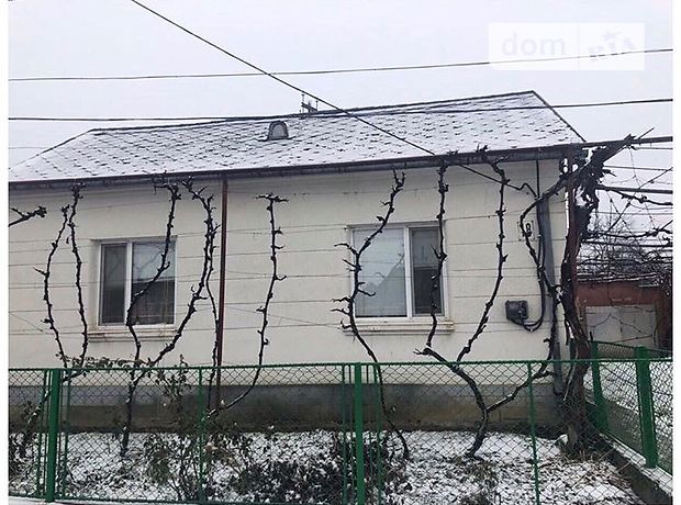 одноэтажный дом с садом, 100 кв. м, кирпич. Продажа в Сторожнице (Закарпатская обл.) фото 1 одноэтажный дом с садом, 100 кв. м, кирпич. Продажа в Сторожнице (Закарпатская обл.) фото 1