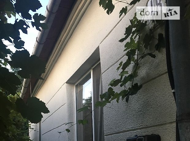 одноэтажный дом с камином, 100 кв. м, кирпич саманный. Продажа в Сторожнице (Закарпатская обл.) фото 1 одноэтажный дом с камином, 100 кв. м, кирпич саманный. Продажа в Сторожнице (Закарпатская обл.) фото 1