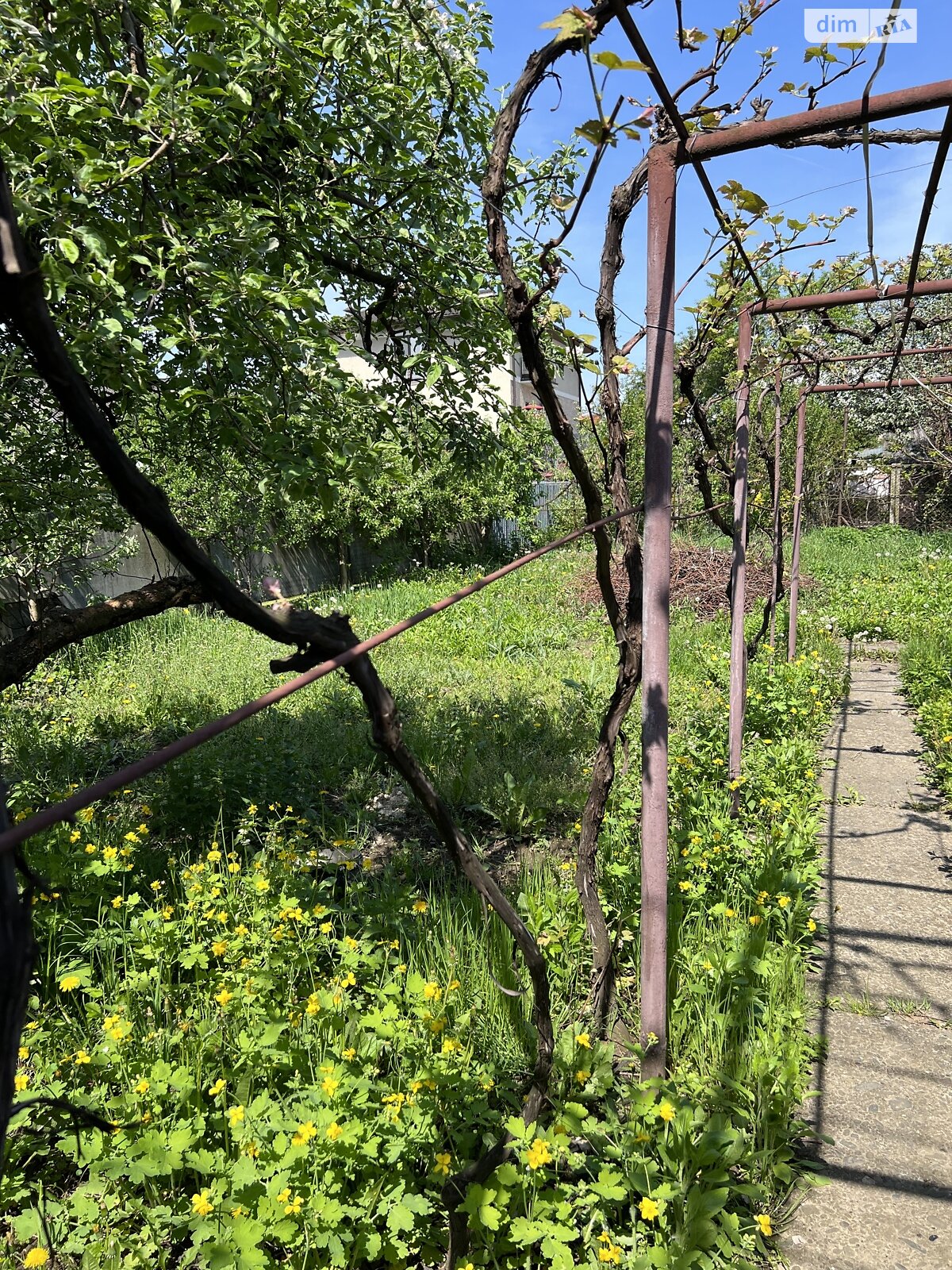 двоповерховий будинок з гаражем, 214 кв. м, цегла. Продаж в Ужгороді, район Свепомоц фото 1 двоповерховий будинок з гаражем, 214 кв. м, цегла. Продаж в Ужгороді, район Свепомоц фото 1