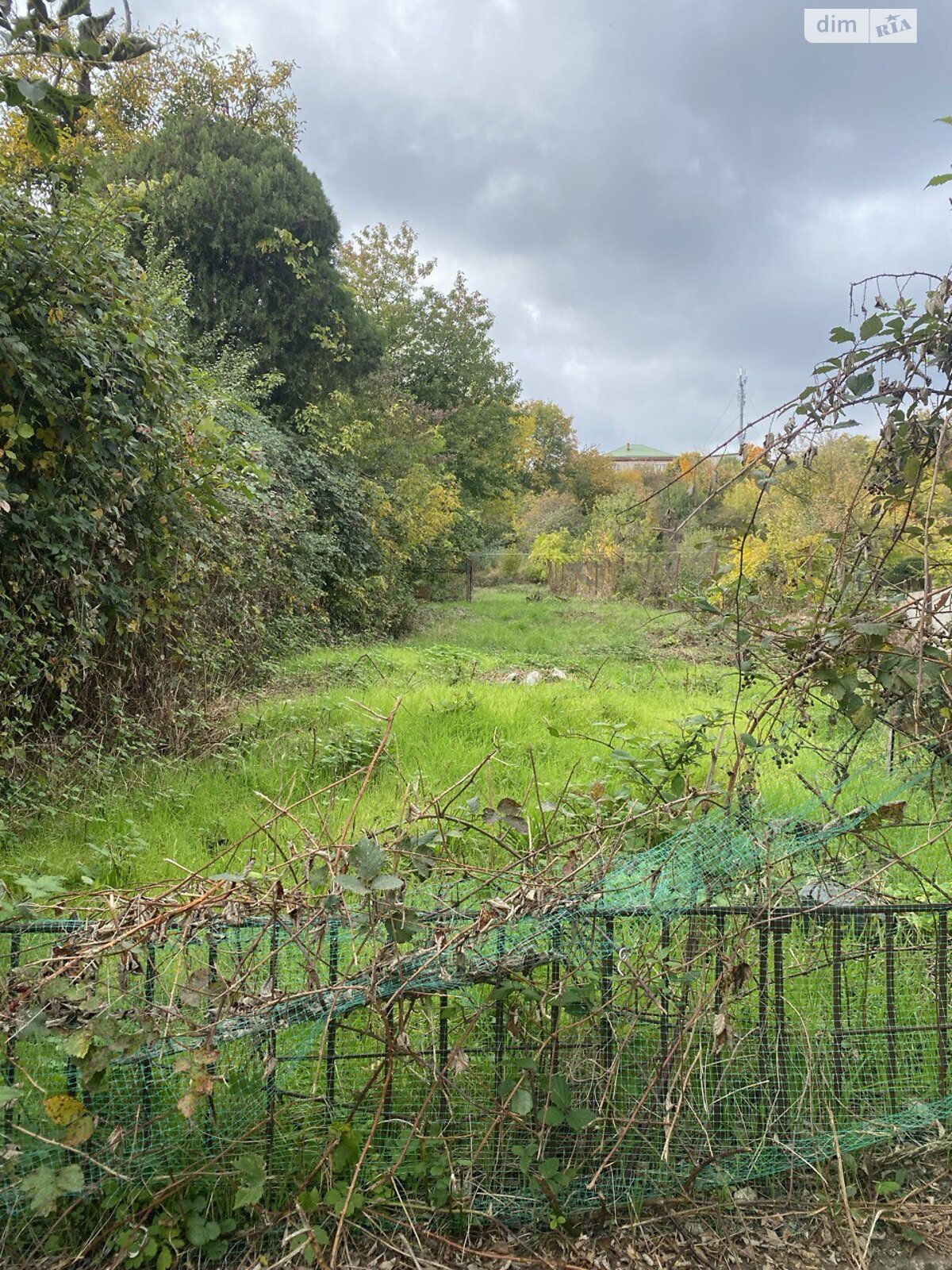 одноповерховий будинок, 200 кв. м, цегла. Продаж в Ужгороді, район Центр фото 1