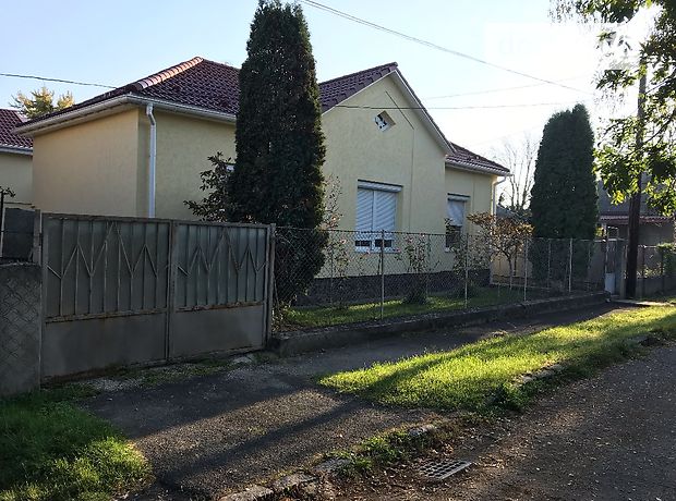 одноэтажный дом, 160 кв. м, кирпич. Продажа в Ужгороде район Центр фото 1 одноэтажный дом, 160 кв. м, кирпич. Продажа в Ужгороде район Центр фото 1