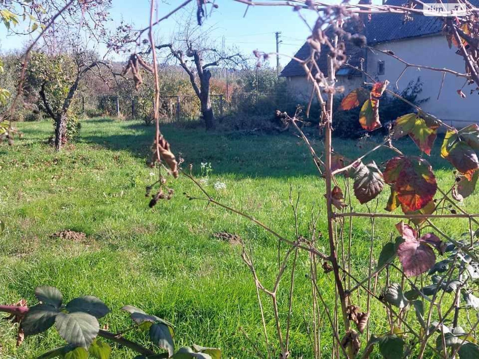 одноэтажный дом, 80 кв. м, кирпич. Продажа в Ужгороде район Центр фото 1 одноэтажный дом, 80 кв. м, кирпич. Продажа в Ужгороде район Центр фото 1