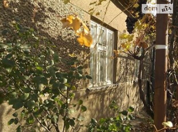 одноэтажный дом, 93 кв. м, кирпич саманный. Продажа в Ужгороде район Центр фото 1 одноэтажный дом, 93 кв. м, кирпич саманный. Продажа в Ужгороде район Центр фото 1